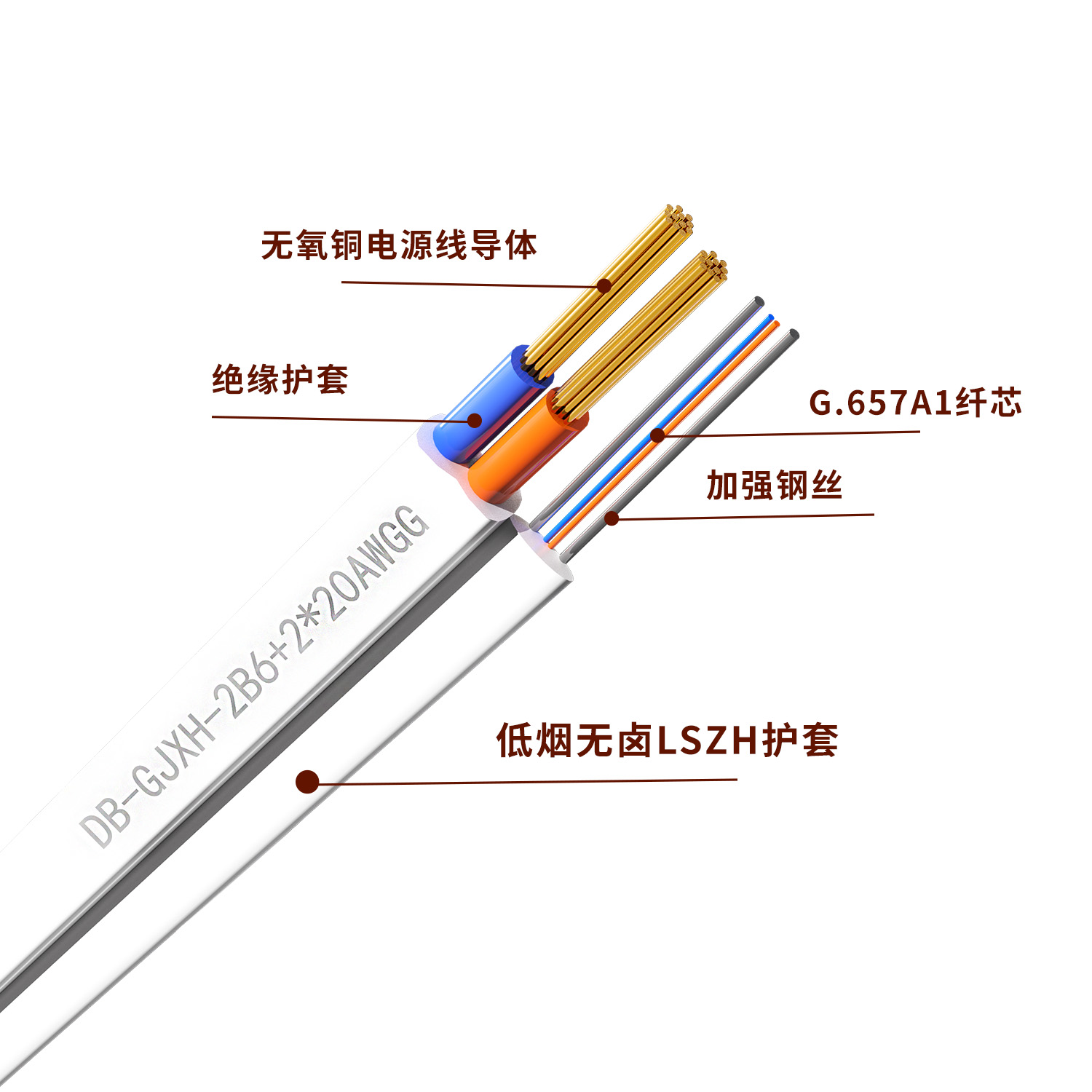 分体式截面.jpg